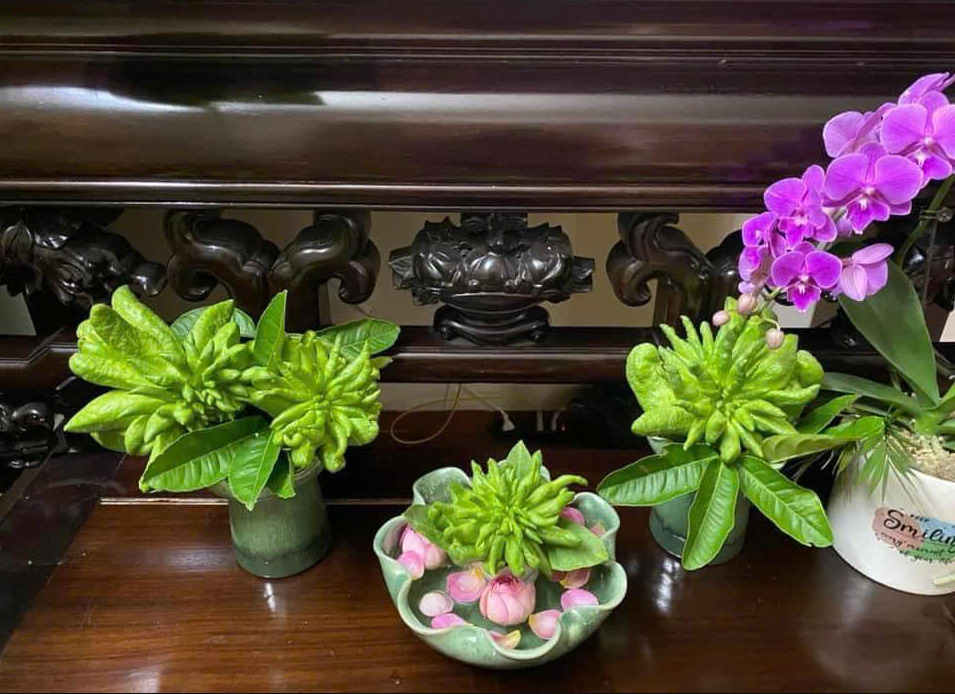 Bát Tụ Bảo TIỀN TÀI